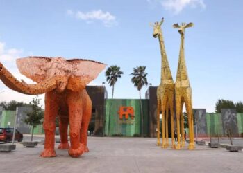 REABREN LA PASTORA; RETIRA PROFEPA SELLOS DE CLAUSURA IMPUESTA TRAS CASO DE OSA MINA