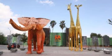 REABREN LA PASTORA; RETIRA PROFEPA SELLOS DE CLAUSURA IMPUESTA TRAS CASO DE OSA MINA 4 REABREN LA PASTORA; RETIRA PROFEPA SELLOS DE CLAUSURA IMPUESTA TRAS CASO DE OSA MINA