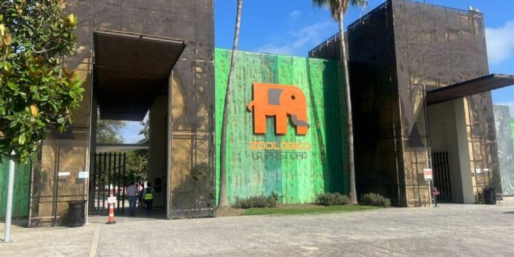 TENDRÁ LA PASTORA ACCESO GRATIS DURANTE UN MES; INVITA GOBIERNO ESTATAL A FAMILIAS.