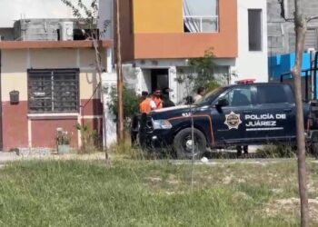 RESCATAN LEÓN EN JUÁREZ; ASEGURA PVSNL EJEMPLAR HALLADO EN VIVIENDA