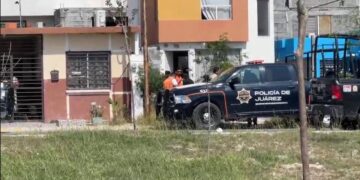 RESCATAN LEÓN EN JUÁREZ; ASEGURA PVSNL EJEMPLAR HALLADO EN VIVIENDA 3 RESCATAN LEÓN EN JUÁREZ; ASEGURA PVSNL EJEMPLAR HALLADO EN VIVIENDA