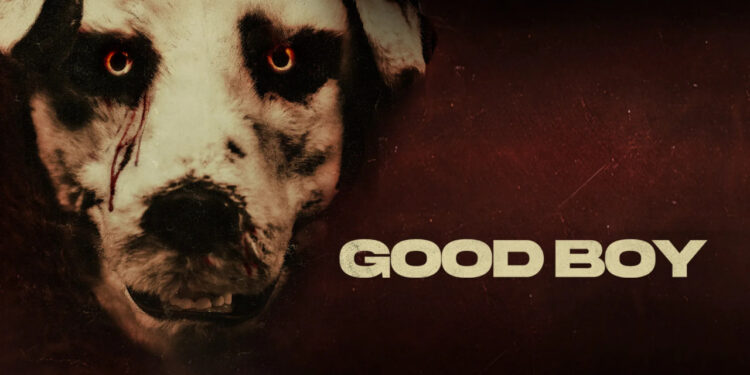 BUENA RAZÓN PARA TEMER: “GOOD BOY” SE GANA A CRÍTICA DESDE PERSPECTIVA CANINA 1 BUENA RAZÓN PARA TEMER: “GOOD BOY” SE GANA A CRÍTICA DESDE PERSPECTIVA CANINA