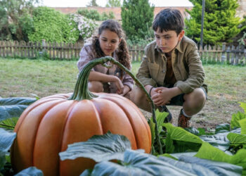 EL NUEVO “HARRY POTTER” ARRASA EN CINES CON UNA COMEDIA FAMILIAR SORPRESIVA