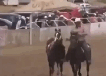 BALACERA EN ‘CARRERA FAMILIAR’ DEJA AL MENOS SIETE MUERTOS EN PARRAL, CHIHUAHUA; TERMINA EVENTO HÍPICO EN MASACRE.