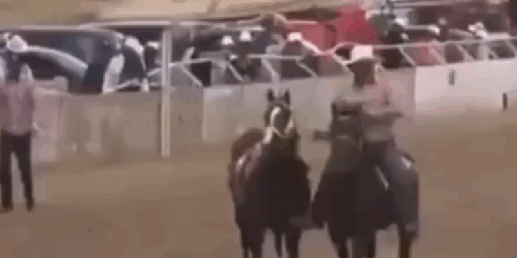 BALACERA EN ‘CARRERA FAMILIAR’ DEJA AL MENOS SIETE MUERTOS EN PARRAL, CHIHUAHUA; TERMINA EVENTO HÍPICO EN MASACRE.