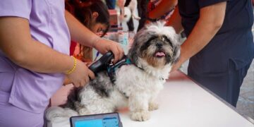 ÉXITO TOTAL EN LA SEGUNDA EDICIÓN DE LA BRIGADA DE BIENESTAR ANIMAL “PATITAS NARANJAS” ORGANIZADA POR GLEN VILLAREAL