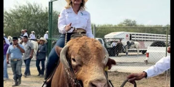 CAE DE TORO ALCALDESA DE BRAVO; RESULTA LESIONADA DURANTE CABALGATA POR ANIVERSARIO DEL MUNICIPIO