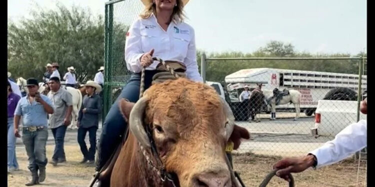 CAE DE TORO ALCALDESA DE BRAVO; RESULTA LESIONADA DURANTE CABALGATA POR ANIVERSARIO DEL MUNICIPIO