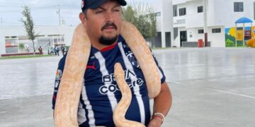 SALE DUEÑO DE PITÓN; SE LLAMA “TILÍN” SERPIENTE HALLADA COLGANDO DE VEHÍCULO EN MOVIMIENTO EN ZUAZUA