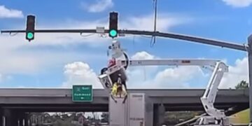 HOMBRE EVITA CAÍDA GRAVE REPARANDO SEMÁFORO GRACIAS A SORPRENDENTES REFLEJOS