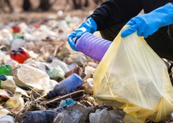 GREENPEACE ALERTA SOBRE EL COSTO ECOLÓGICO DE LAS FESTIVIDADES DECEMBRINAS