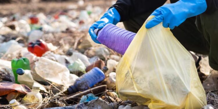 GREENPEACE ALERTA SOBRE EL COSTO ECOLÓGICO DE LAS FESTIVIDADES DECEMBRINAS