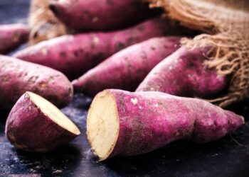 EL CAMOTE, ALIADO PARA CONTROLAR AZÚCAR Y MEJORAR EL BIENESTAR