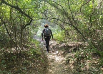 RESCATA PROTECCIÓN CIVIL A SENDERISTAS ACORRALADOS POR OSO EN CERRO DEL CHUPÓN