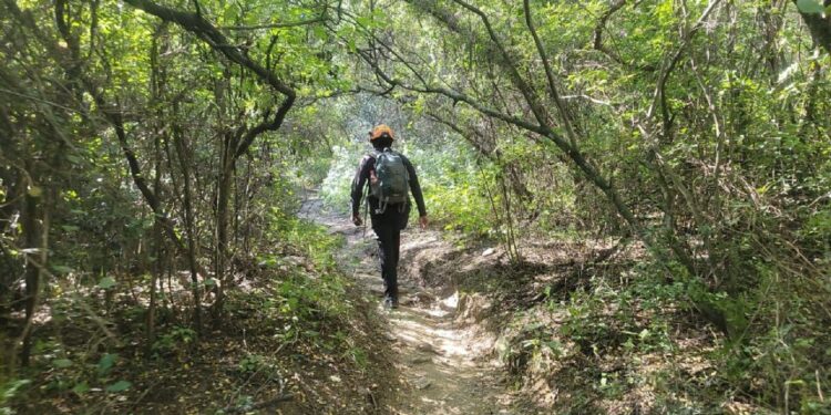 RESCATA PROTECCIÓN CIVIL A SENDERISTAS ACORRALADOS POR OSO EN CERRO DEL CHUPÓN
