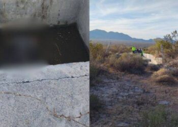 ENCUENTRAN OSO NEGRO SIN VIDA EN GALEANA; EJEMPLAR PODRÍA HABERSE AHOGADO.