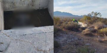 ENCUENTRAN OSO NEGRO SIN VIDA EN GALEANA; EJEMPLAR PODRÍA HABERSE AHOGADO. 2 ENCUENTRAN OSO NEGRO SIN VIDA EN GALEANA; EJEMPLAR PODRÍA HABERSE AHOGADO.