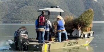 ARROJAN PINOS NAVIDEÑOS AL FONDO DE LA PRESA; IMPLEMENTAN PVSNL Y SANTIAGO PROGRAMA DE APROVECHAMIENTO Y RESTAURACIÓN ECOLÓGICA