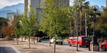 ALCANZAN BOSQUES CIUDADANOS 900 MIL ÁRBOLES PLANTADOS; AVANZA ARBORIZACIÓN DE EXPLANADA Y EL CENTRO.