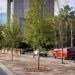 ALCANZAN BOSQUES CIUDADANOS 900 MIL ÁRBOLES PLANTADOS; AVANZA ARBORIZACIÓN DE EXPLANADA Y EL CENTRO.