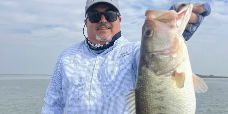 SORPRENDE A PESCADORES TAMAÑO DE LOBINAS EN PRESA EL CUCHILLO; ASEGURAN QUE VIVE SU MEJOR ÉPOCA EN AÑOS TRAS PROGRAMA DE PARQUES Y VIDA SILVESTRE 1 SORPRENDE A PESCADORES TAMAÑO DE LOBINAS EN PRESA EL CUCHILLO; ASEGURAN QUE VIVE SU MEJOR ÉPOCA EN AÑOS TRAS PROGRAMA DE PARQUES Y VIDA SILVESTRE