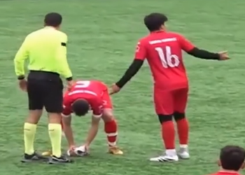 PIERDEN FINAL, PERO SALVAN VIDA A PALOMA; DETIENEN PARTIDO DE FÚTBOL PARA DAR RCP A AVE TRAS BALONAZO