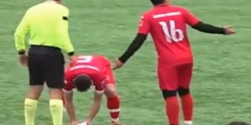 PIERDEN FINAL, PERO SALVAN VIDA A PALOMA; DETIENEN PARTIDO DE FÚTBOL PARA DAR RCP A AVE TRAS BALONAZO