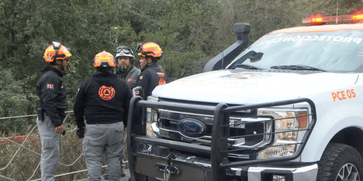 REPORTAN PUMA EN SIERRA ALTA… ERA DE IA; DESCARTA PVSNL AVISTAMIENTO