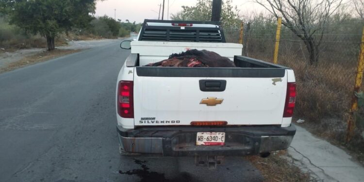 ASEGURAN EN EL CARMEN CAMIONETA DE EX ALCALDE QUE TRASLADABA PIELES DE ORIGEN ILÍCITO