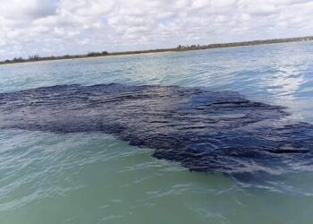 EMERGENCIA AMBIENTAL EN EL GOLFO: DERRAME DE PETRÓLEO ALCANZA 630 KILÓMETROS DE LITORAL MEXICANO
