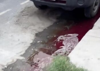 DENUNCIAN VECINOS DEL CENTRO DE MONTERREY DESCARGA ILEGAL… ¡DE SANGRE!; ACUSAN A EMBALSAMADORA.