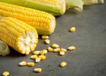 GUERRA ELEVA COSTO DE ALIMENTOS Y AMENAZA LA SEGURIDAD ALIMENTARIA GLOBAL EN 2026