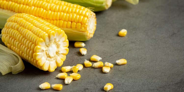 GUERRA ELEVA COSTO DE ALIMENTOS Y AMENAZA LA SEGURIDAD ALIMENTARIA GLOBAL EN 2026