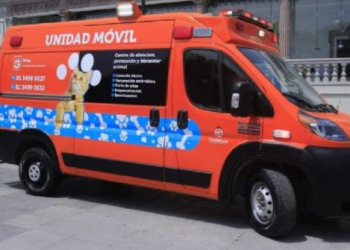 LANZA GUADALUPE UNIDAD PARA PERRIJOS Y GATIJOS; BRINDARÁ MUNICIPIO ATENCIÓN VETERINARIA