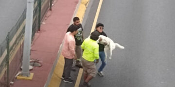 JÓVENES SALVAN A PERRITO EN PLENA GARZA SADA Y SU ACTO CONMUEVE A REGIOS; LO RESCATAN TRAS QUEDAR ATRAPADO EN MEDIO DEL TRÁFICO