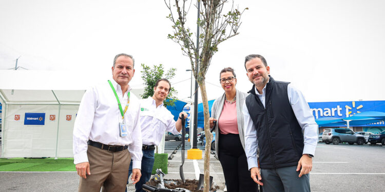 REFORESTAN ESTACIONAMIENTOS WALMART Y SECRETARÍA DEL MEDIO AMBIENTE DEL ESTADO; BUSCAN REDUCIR ISLAS DE CALOR EN LA CIUDAD