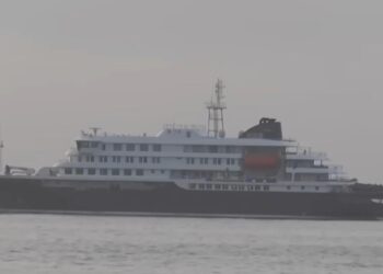 ALERTA EPIDEMIOLÓGICA GLOBAL: DETECTAN CEPA DE HANTAVIRUS CON TRANSMISIÓN HUMANA EN CRUCERO INTERNACIONAL