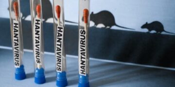 CERCO EPIDEMIOLÓGICO GLOBAL: LA OMS EXTIENDE VIGILANCIA POR HANTAVIRUS HASTA 42 DÍAS