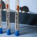 CERCO EPIDEMIOLÓGICO GLOBAL: LA OMS EXTIENDE VIGILANCIA POR HANTAVIRUS HASTA 42 DÍAS
