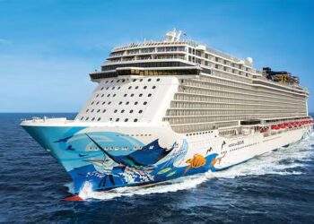 LUZ VERDE EN EL PUERTO: FRANCIA AUTORIZA DESEMBARCO TRAS BROTE ESTOMACAL EN CRUCERO MEDITERRÁNEO