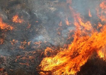 INVESTIGAN SI UN MARINERO NÁUFRAGO PROVOCÓ EL MAYOR INCENDIO ACTIVO EN CALIFORNIA