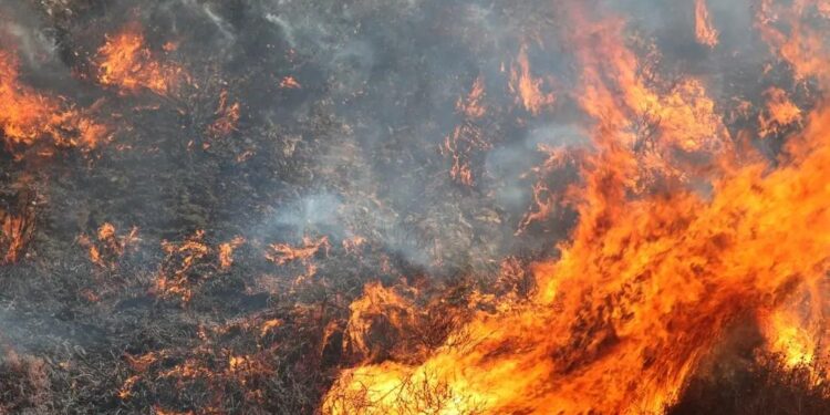 INVESTIGAN SI UN MARINERO NÁUFRAGO PROVOCÓ EL MAYOR INCENDIO ACTIVO EN CALIFORNIA