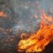 INVESTIGAN SI UN MARINERO NÁUFRAGO PROVOCÓ EL MAYOR INCENDIO ACTIVO EN CALIFORNIA 7 INVESTIGAN SI UN MARINERO NÁUFRAGO PROVOCÓ EL MAYOR INCENDIO ACTIVO EN CALIFORNIA