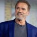 MÁQUINA INDESTRUCTIBLE A LOS 78: ARNOLD SCHWARZENEGGER REVELA SU SECRETO PARA SEGUIR EN EL GIMNASIO SIN LÍNEA DE META 7 MÁQUINA INDESTRUCTIBLE A LOS 78: ARNOLD SCHWARZENEGGER REVELA SU SECRETO PARA SEGUIR EN EL GIMNASIO SIN LÍNEA DE META