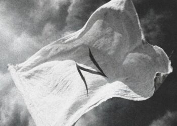 RENACIMIENTO EN EL MARIACHEÑO: CHRISTIAN NODAL ESTRENA “BANDERA BLANCA”, UN ÁLBUM IMPULSADO POR LA CATARSIS Y EL RUIDO MEDIÁTICO