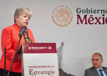 VETO AMBIENTAL TOTAL EN EL CARIBE: SEMARNAT RECHAZA TRES MEGAPROYECTOS TURÍSTICOS DE ROYAL CARIBBEAN EN QUINTANA ROO