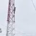 MOVILIZA A CUERPOS DE AUXILIO HOMBRE QUE SUBE A ANTENA DE TELECOMUNICACIONES EN SANTIAGO; AMENAZA CON LANZARSE DESDE LO ALTO 7 MOVILIZA A CUERPOS DE AUXILIO HOMBRE QUE SUBE A ANTENA DE TELECOMUNICACIONES EN SANTIAGO; AMENAZA CON LANZARSE DESDE LO ALTO