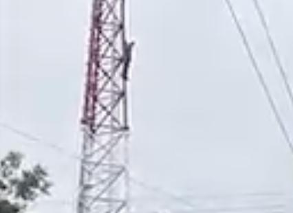 MOVILIZA A CUERPOS DE AUXILIO HOMBRE QUE SUBE A ANTENA DE TELECOMUNICACIONES EN SANTIAGO; AMENAZA CON LANZARSE DESDE LO ALTO 1 MOVILIZA A CUERPOS DE AUXILIO HOMBRE QUE SUBE A ANTENA DE TELECOMUNICACIONES EN SANTIAGO; AMENAZA CON LANZARSE DESDE LO ALTO