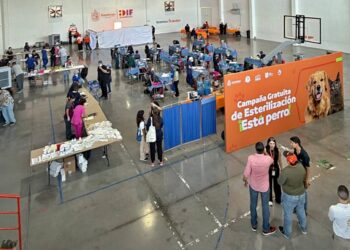 MEDIO AMBIENTE Y GUADALUPE REALIZAN MEGA JORNADA DE ESTERILIZACIÓN; SEÑALA RAÚL LOZANO QUE BUSCAN CONSTRUIR CULTURA DE RESPONSABILIDAD 