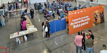 MEDIO AMBIENTE Y GUADALUPE REALIZAN MEGA JORNADA DE ESTERILIZACIÓN; SEÑALA RAÚL LOZANO QUE BUSCAN CONSTRUIR CULTURA DE RESPONSABILIDAD 2 MEDIO AMBIENTE Y GUADALUPE REALIZAN MEGA JORNADA DE ESTERILIZACIÓN; SEÑALA RAÚL LOZANO QUE BUSCAN CONSTRUIR CULTURA DE RESPONSABILIDAD